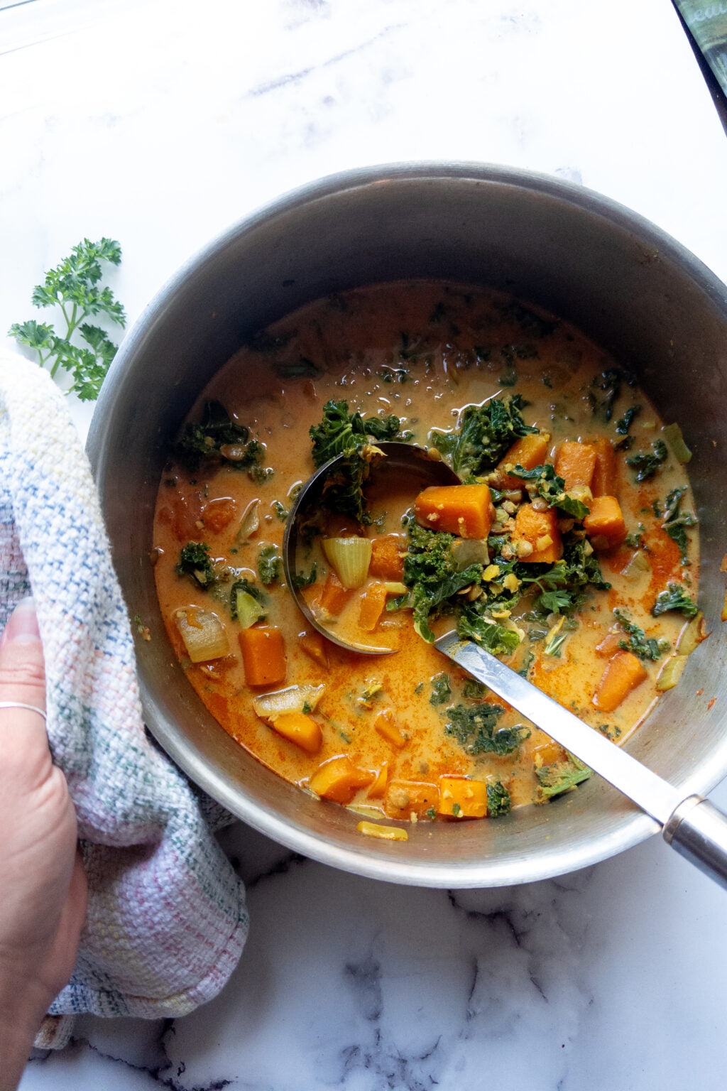 Healing Turmeric Stew